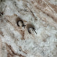 09 Tiny Hoop, Embellished (black rhodium)